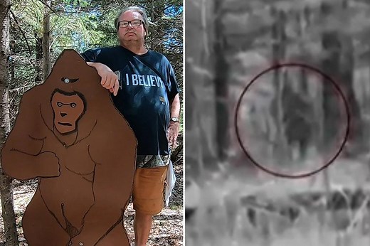 Hunter in Michigan claimed he encountered Bigfoot and took shocking photo ‘proof’