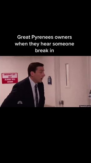 #greatpyreneesoftiktok #fyp #greatpyreneeslife | great pyrenees