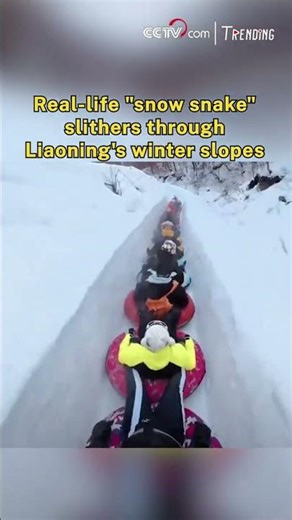 Real-life "snow snake" slithers through Liaoning's winter slopes