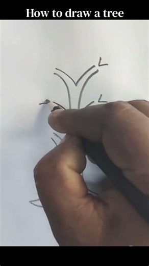 How to Draw a Tree Step by Step 🌳 | Easy Tree Drawing Tutorial for Beginners
