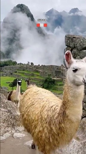 Machu Picchu 2026 🦙⛰️ | Circuit 2A Tickets Selling Fast