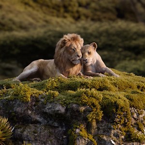 Take your place, tickets for #TheLionKing are on sale tomorrow. | Walt Disney Studios