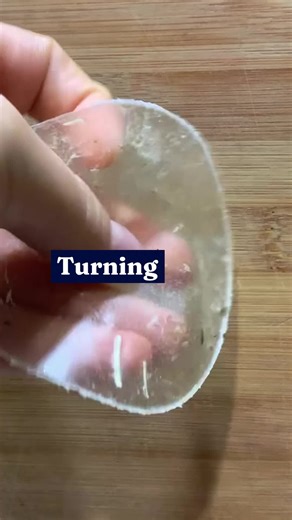 Innovative Engineering: Redefining Plastic with Weeds