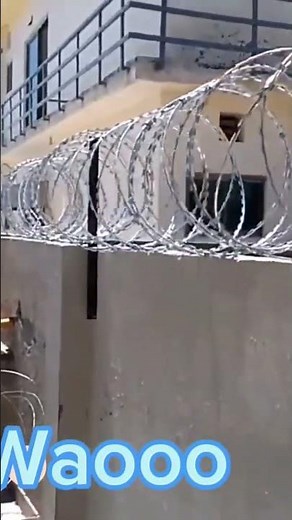 how to install security razor wire #razorwire #fence #barbedwire #blade #shorts #short #viral
