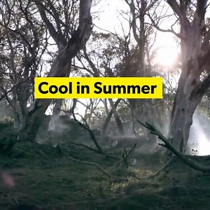 117 reactions | Most Comfortable Shoes are now made with Merino Wool . | Neemans | Facebook