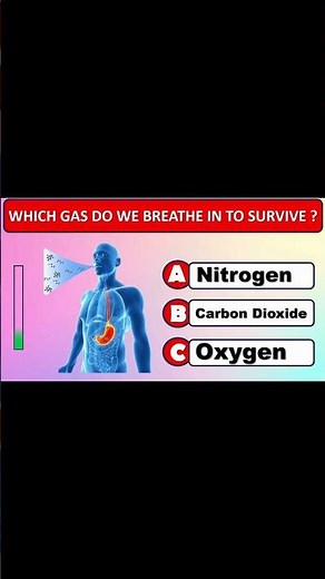 🧠 Can You Pass This Human Body Quiz? 🧍💪🧬 General Knowledge Quiz