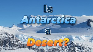 Antarctica: The Frozen Desert and Why It’s Considered the Harshest Environment on Earth