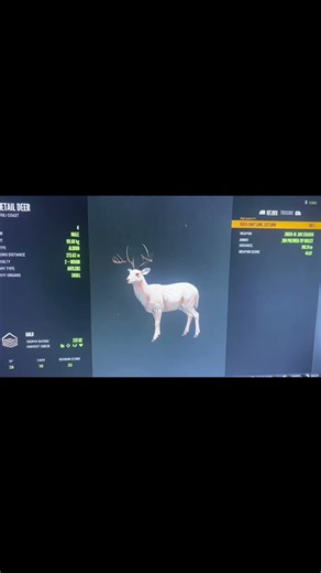 #cotwclips #cotwgameplay #hunting #cotw #cotwrares