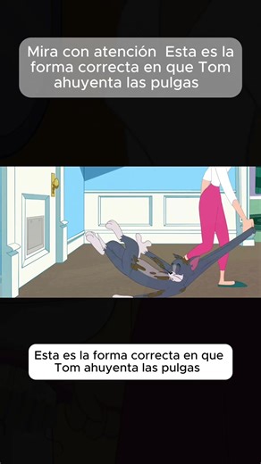 Exploring Cartoon and Anime Creator Insights