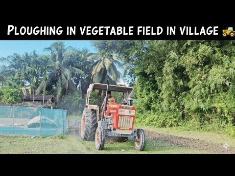 Deep Ploughing for Vegetable Cultivation in Village | Tractor Field Prep
