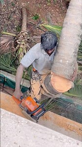8610339350 tree cutter arul