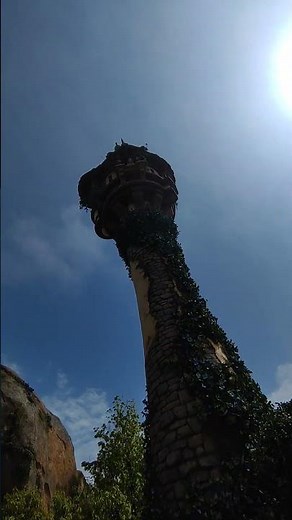 カラスに襲われた 塔の上のラプンツェル 復活 #東京ディズニーシー