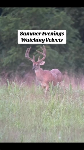 We love hitting the backroads on summer evenings. #deadendoutdoors #deadendgamecalls #backroads #itsaministry #velvetbucks #deer #deerhunting