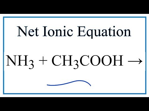 How to Write the Net Ionic Equation for NH3 + CH3COOH = NH4CH3COO