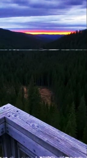 Park Ranger Found Footage... #analoghorror #jurassicworld #dinosaurs #dinosaur #scary