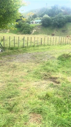 Satisfying Farming Techniques in New Zealand