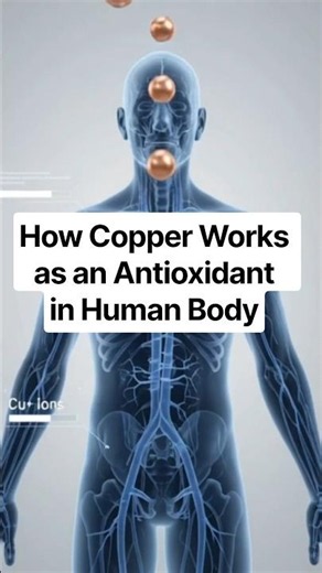 How Copper Works as an Antioxidant in Human Body #brainupdaily #shorts
