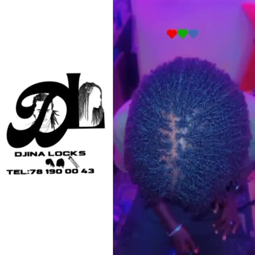 Microlocks by Djina Locks