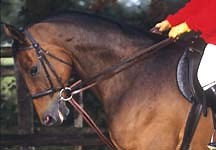 Draw reins: beneficial in the right hands? - Horse & Hound