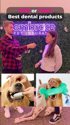 Best Dental Products For Dogs | THIS or THAT