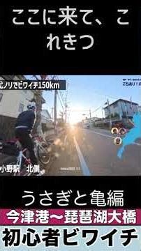 40代おじさん5人 ノリではじめて行くビワイチ(150㎞)2日目今津港～琵琶湖大橋 うさぎとカメ編【切り抜き】 #shorts