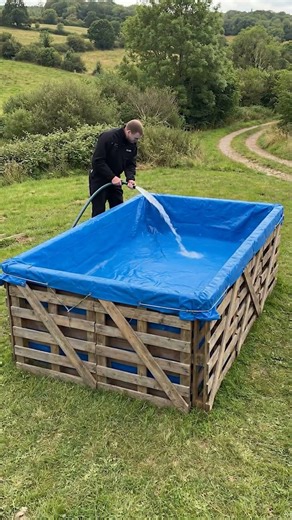Building a Backyard Pool Using Only Wooden Pallets