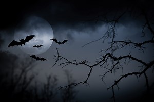 Halloween Sketchbook Prompts: 70 Spooky Ideas to Get You Started