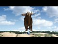 Eté - France 3 - GenTV.be