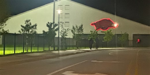 University of Arkansas to drop men’s and women’s tennis for financial reasons