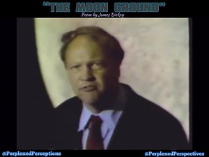 6.7K views · 43 reactions | Perplexed Perspectives on Reels | Facebook