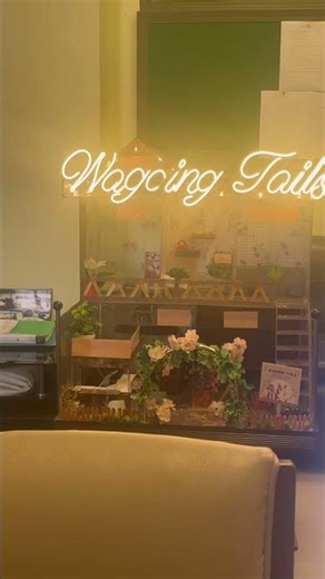 Final year project of my students #BBA