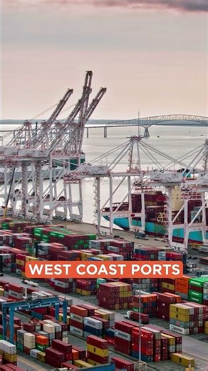 How Fragile is Your Supply Chain? Lessons from Resilient Companies #shorts