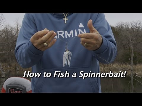 Great ways to Fish a Spinnerbait!