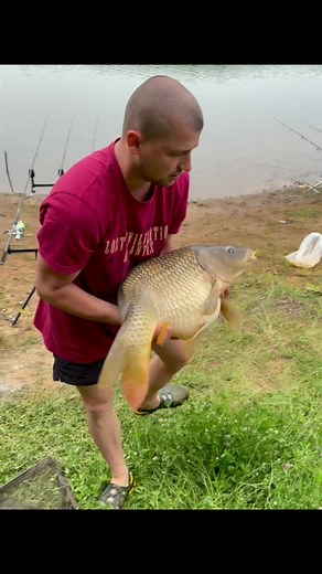 Carp Fishing: Catch and Release Techniques Explained