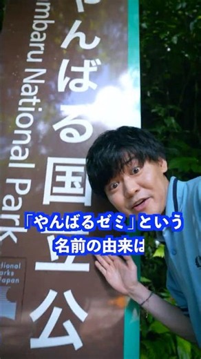 ｢やんばるゼミ｣という名前の由来は… #shorts #学校 #先生