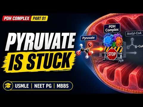 PDH Complex: 5 or 6 Coenzymes? Textbooks Disagree! | USMLE MBBS