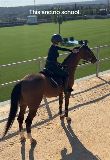 Horse Walk in Horse Valley: No School, Just Showjumping Fun
