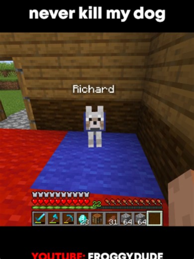Never Kill My Dog — Minecraft Meme Moment