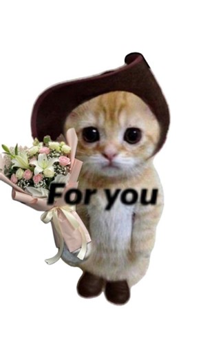 Kashiyana Resturant on Instagram: "Watch till the end !!!!!!! Kashiyaana resturant and fine dining Varanasi Location Microtek college Sankat Mochan temple Avilable on Zomato and Swiggy . do Cheak out the menus . . . #viral #coldweather #noddless #kashiyaanavaranasi #varanasifoodies"