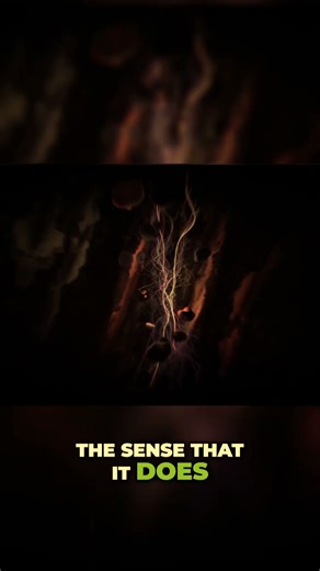 The Illusion of Time – Why Time Might Not Be Real