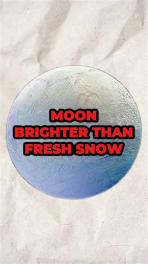 This Moon Is Brighter Than Fresh Snow