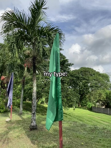 That's My Type: The Green Flag Anthem