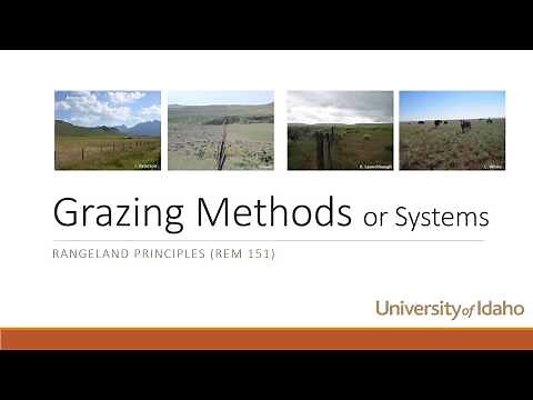 Grazing Methods & Systems