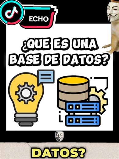 ¿Qué es una base de datos? Explicación rápida