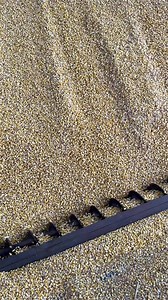 16M views · 10K reactions | Slow Motion Corn! #reels #farm #farming #farmlife #farmer #agriculture #country #corn #fyp | Titman Farms | Facebook