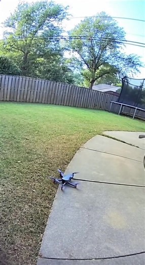 Monkey tries to fly a drone🐵😱 #monkey #drone #Sora2 #aiart #aivideocreation 🐵😱 #MonkeyLife #DroneVideo | AI Studio