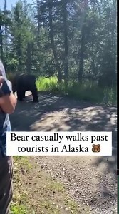 That's one big gator 😳 🐊 | UNILAD