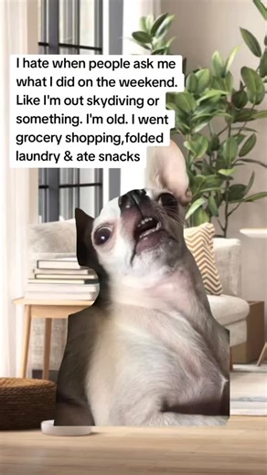 work memes and satire on Instagram: "I am only doing groceries on weekend , funny work meme #funnyworkmeme"