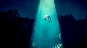 If the Pentagon Is Hiding Aliens from Us, the Zoo Hypothesis May Explain Why