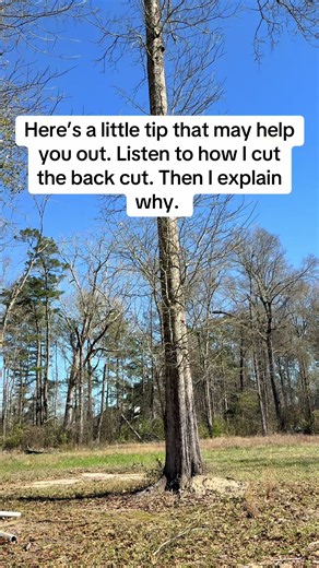 Essential Tree Cutting Tips for Safe Results